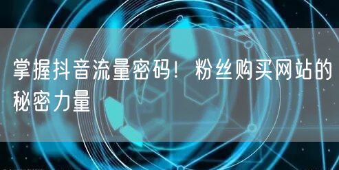 掌握抖音流量密码!粉丝购买网站的秘密力量