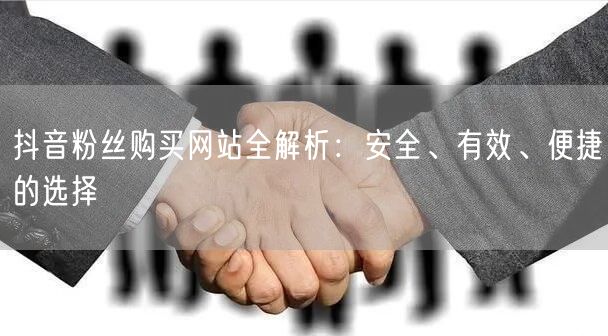 抖音粉丝购买网站全解析:安全、有效、便捷的选择