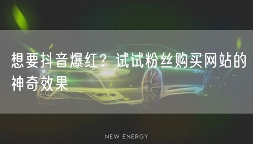 想要抖音爆红?试试粉丝购买网站的神奇效果