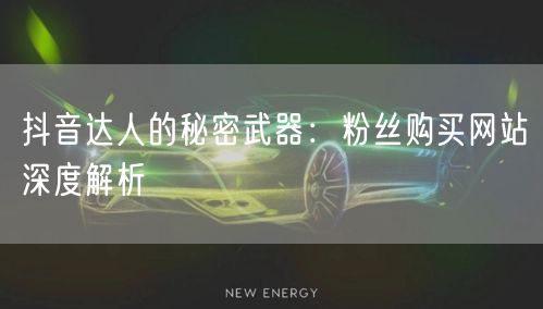 抖音达人的秘密武器:粉丝购买网站深度解析