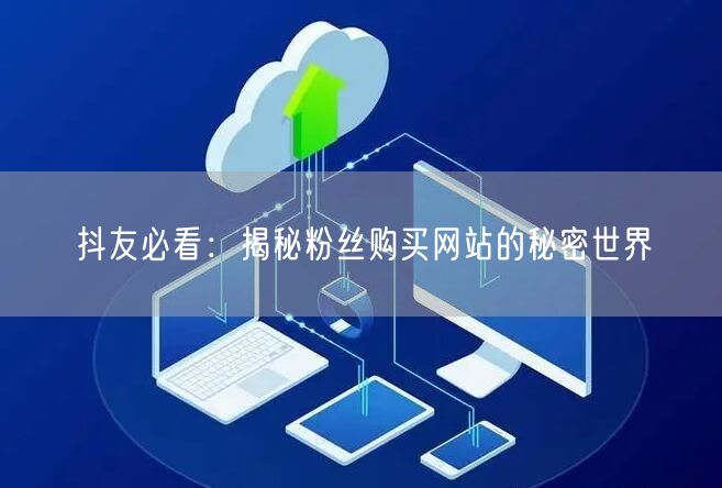 抖友必看:揭秘粉丝购买网站的秘密世界