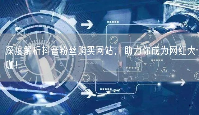 深度解析抖音粉丝购买网站,助力你成为网红大咖!
