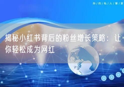 揭秘小红书背后的粉丝增长策略:让你轻松成为网红