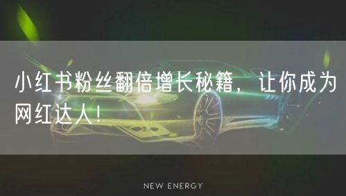 小红书粉丝翻倍增长秘籍,让你成为网红达人!