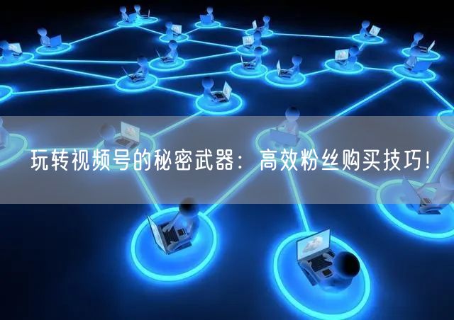 玩转视频号的秘密武器：高效粉丝购买技巧！
